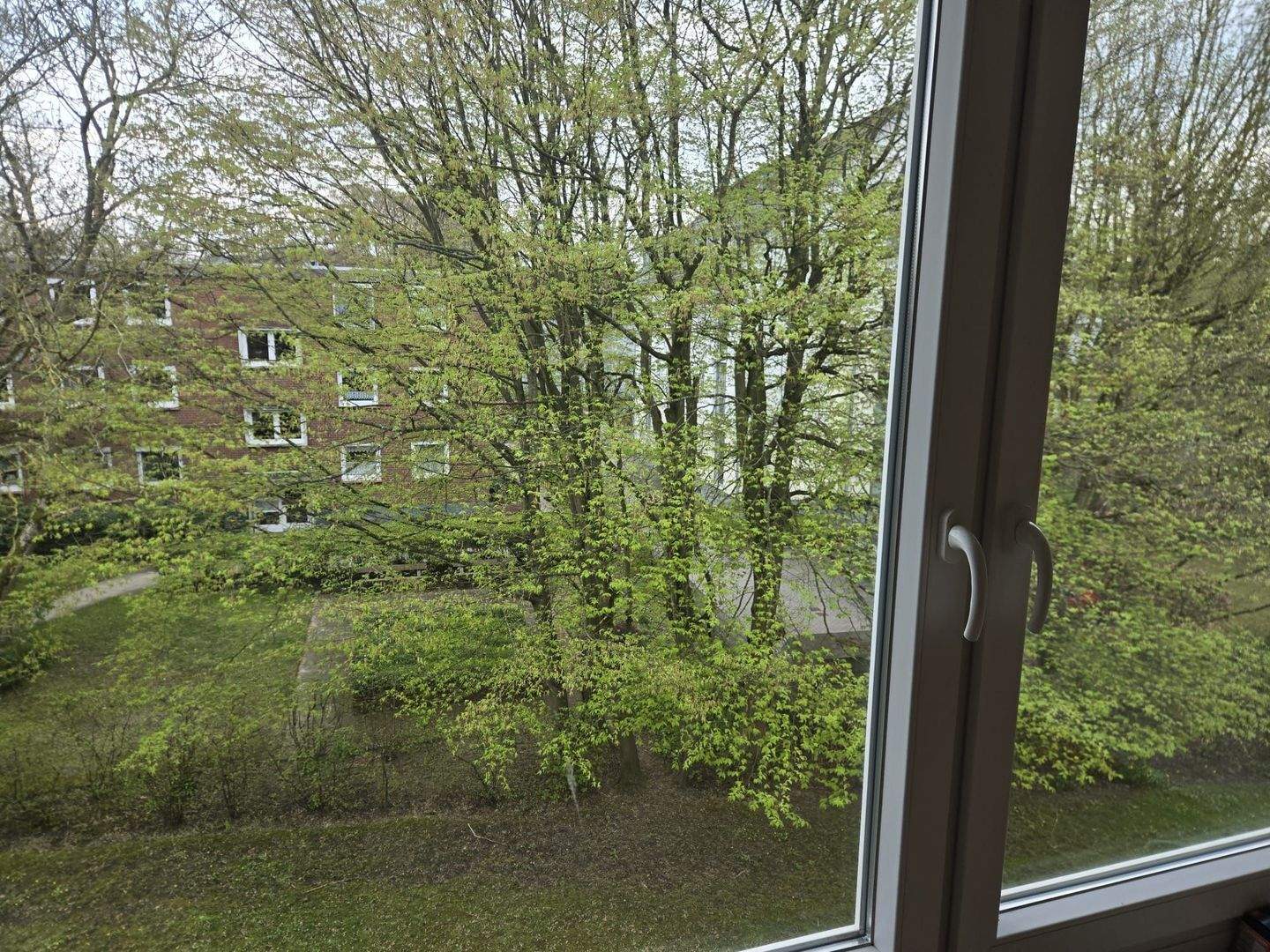 image-72583225