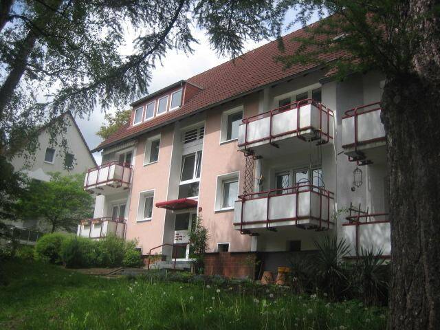 image-72565224