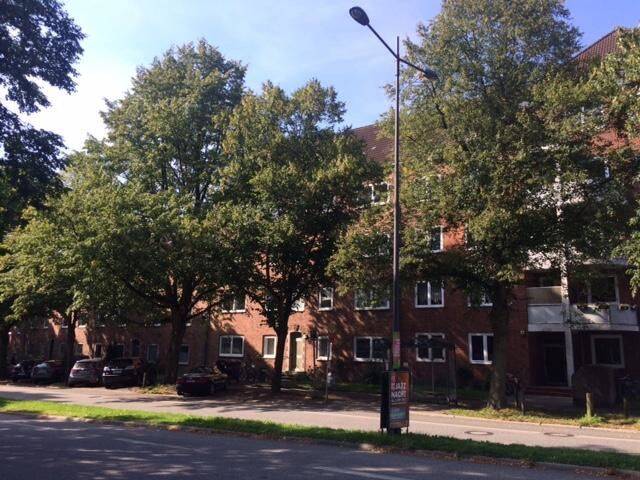 Modernisierte 2 Zimmer Wohnung ab Anfang August in zentraler Lage zu vermieten!, 24106 Kiel (Wik)