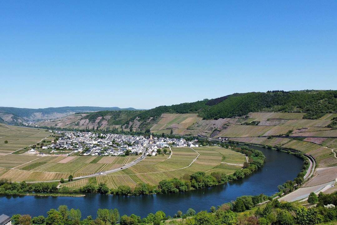 image-72558592