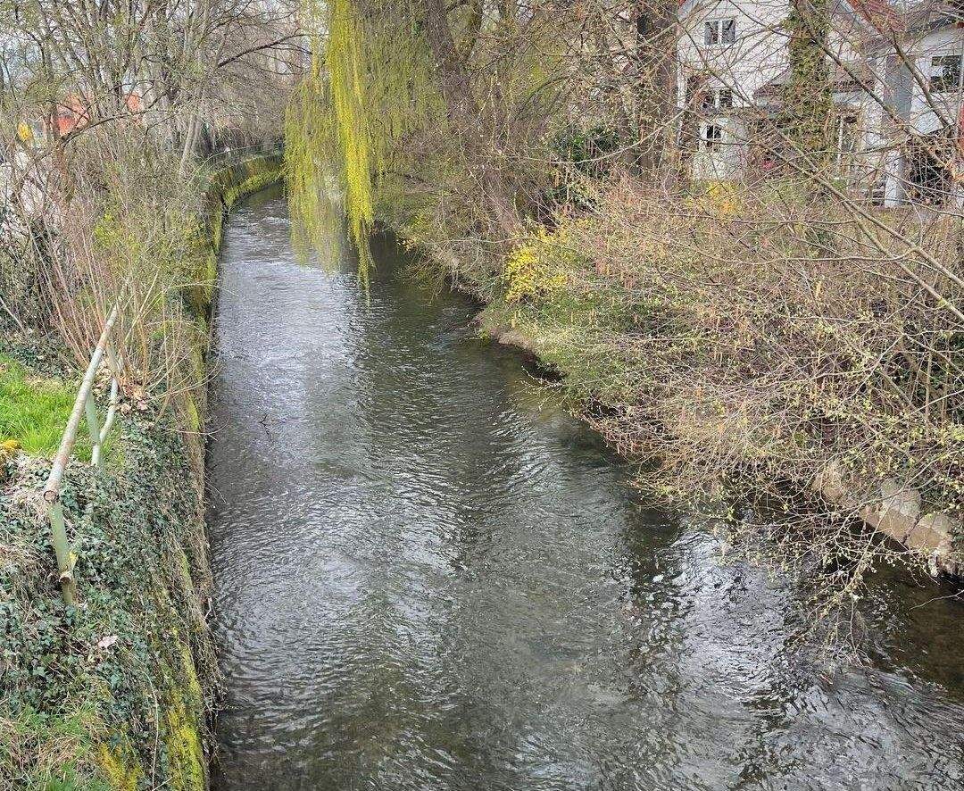 image-72607305