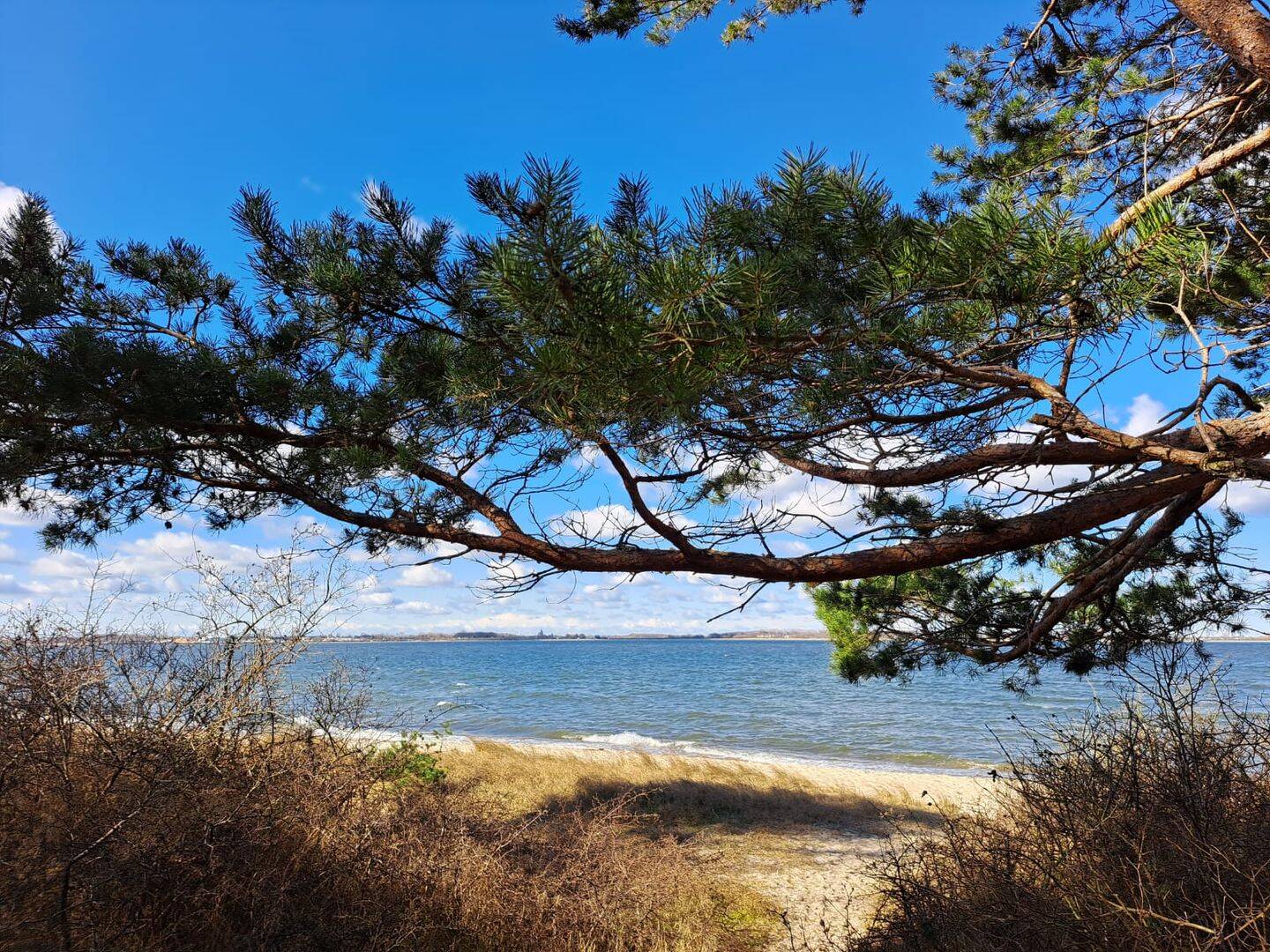 Traumhafte Doppelhaushälfte mit 3 separaten Wohneinheiten, nur wenige Minuten vom Strand entfernt !!, 17509 Loissin