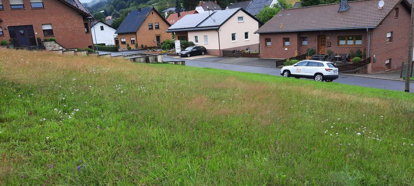 Super geschnittenes Grundstück in Neroth / Vulkaneifel, 54570 Neroth