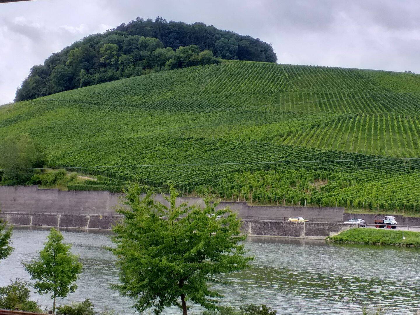 1,5 ZKB in Nittel, 54453 Nittel