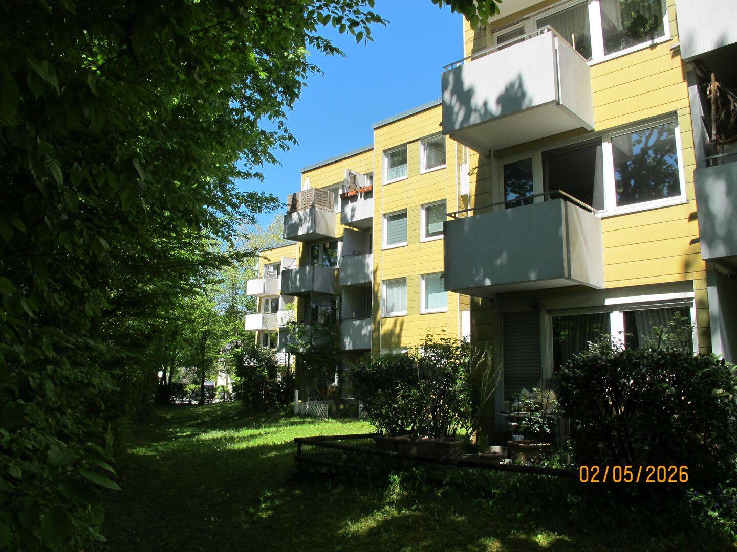 image-72795217