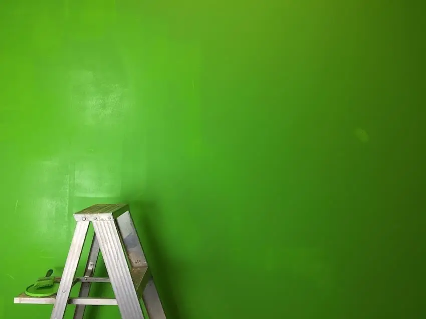 Wandbegrünung in der Wohnung 3