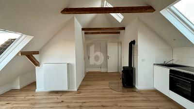 Loft-Charme im Dachgeschoss – Schwarzenbek, 21493 Schwarzenbek
