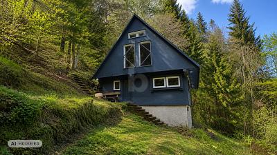 Waldchalet mit Kamin & Grundstück – Einzigartig, 78730 Lauterbach