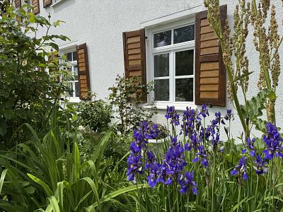 Bild 5