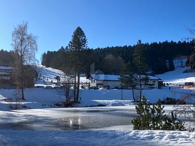 Seeblick genießen & entspannen, 79737 Herrischried