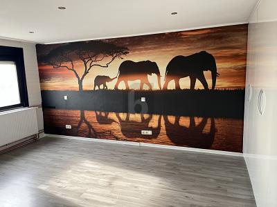 Bild 5