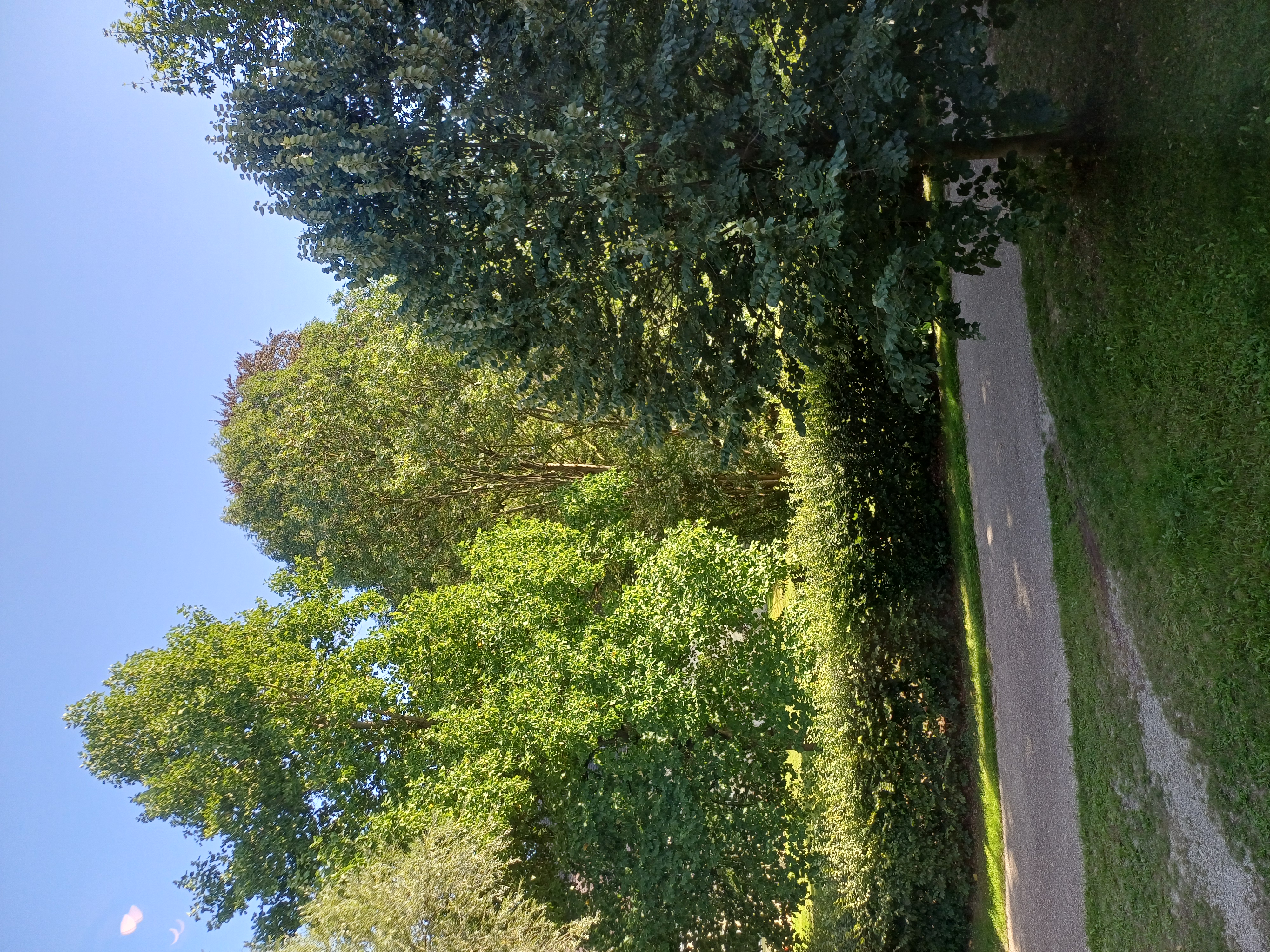 WG-Zimmer in Haimhausen - Natur pur, 85778 Haimhausen