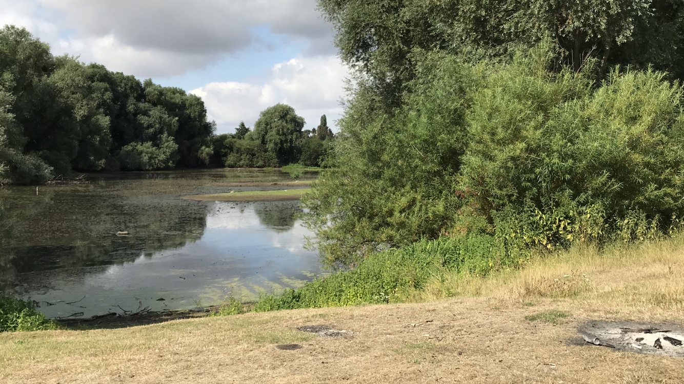 Bild 18