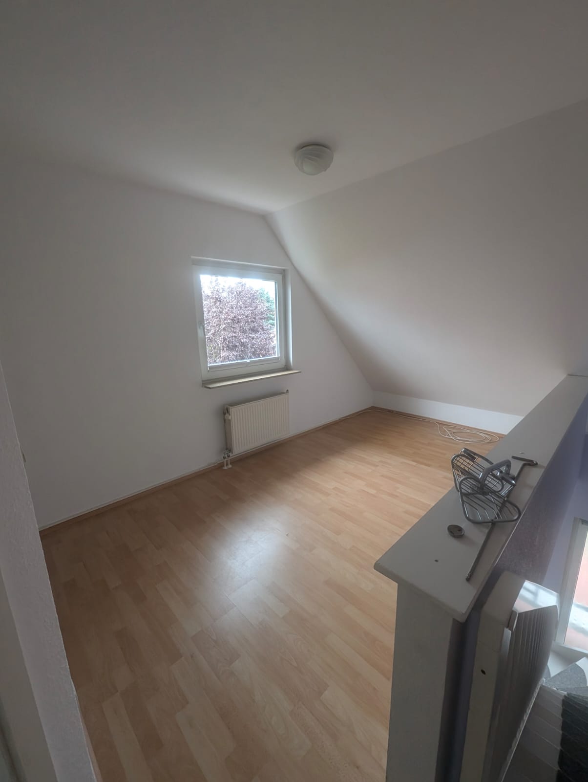 Bild 14