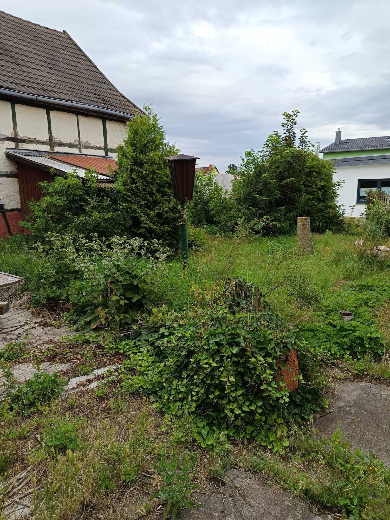 Bild 5