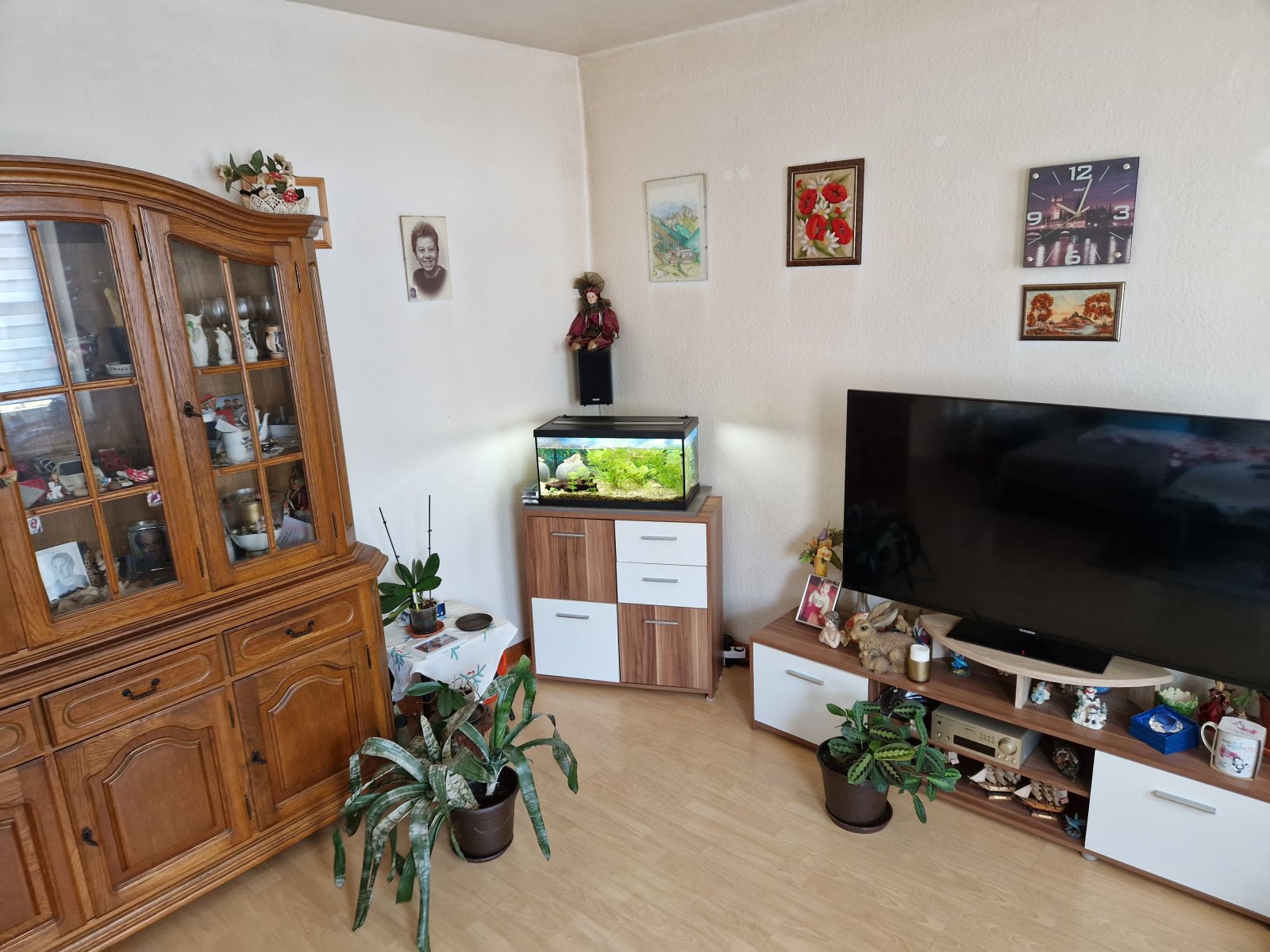 Bild 15