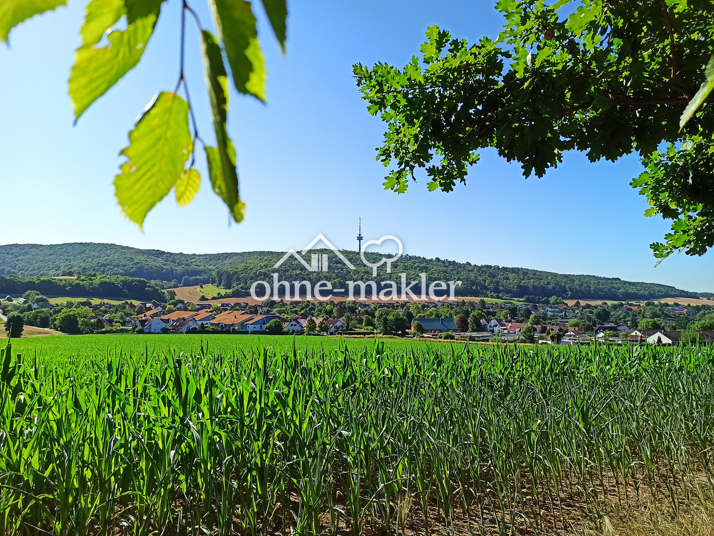 Bild 33