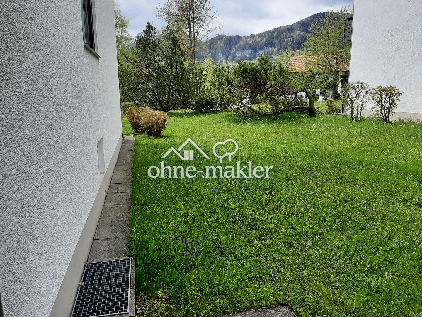 image-65310932