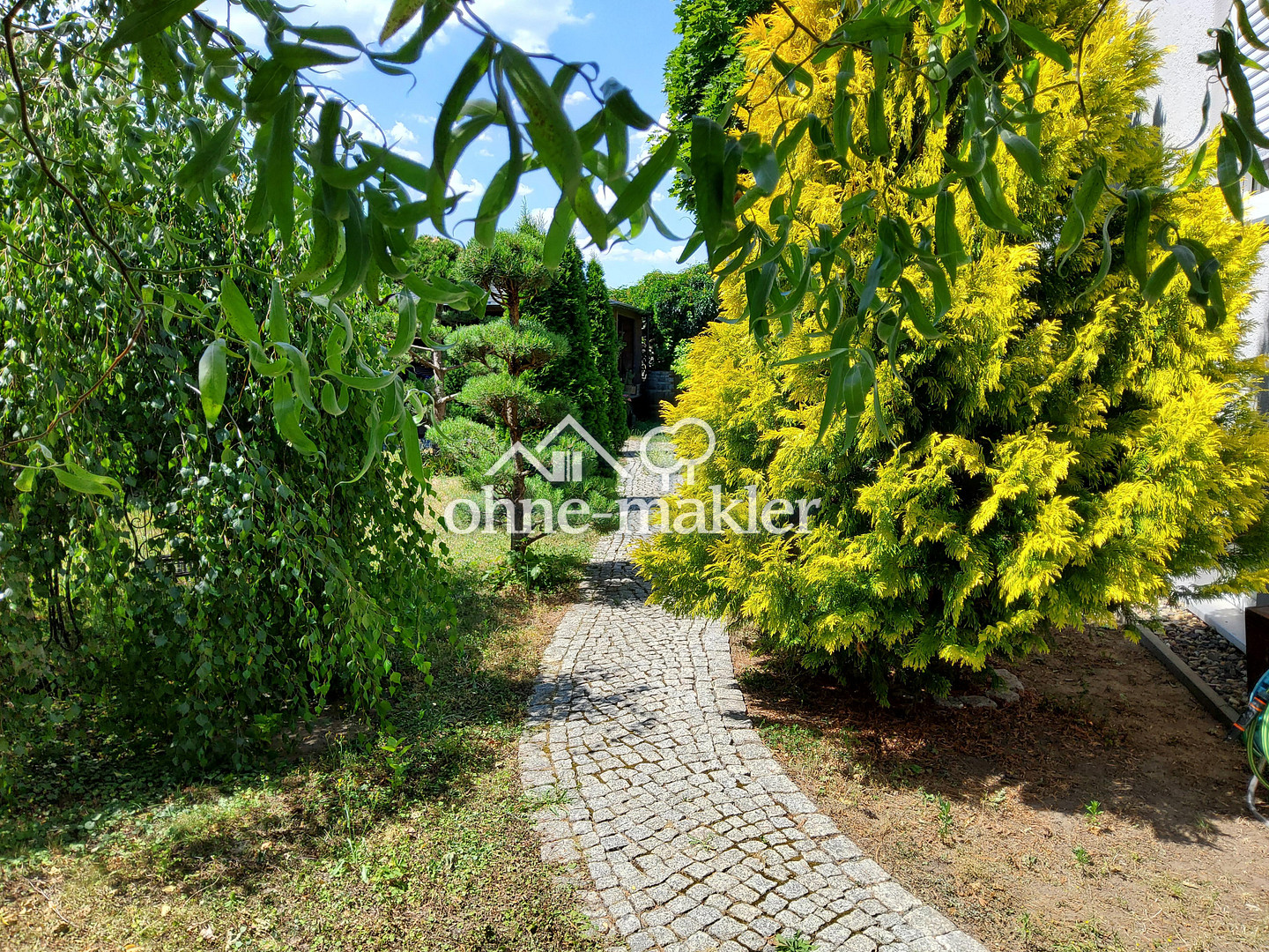 Bild 8