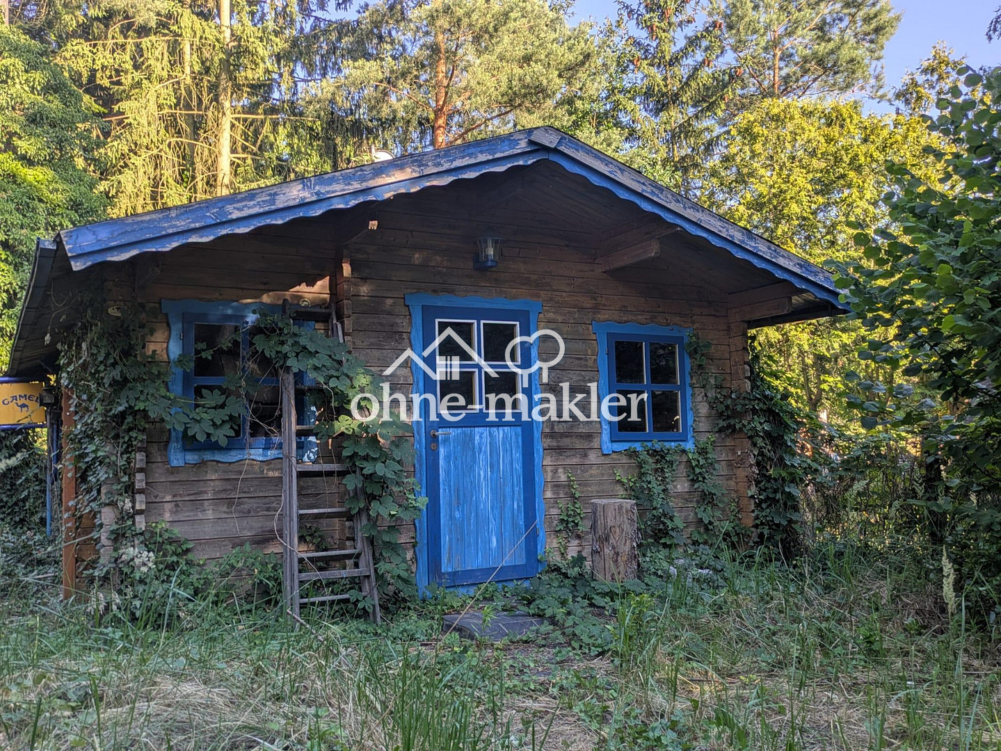 Bild 5