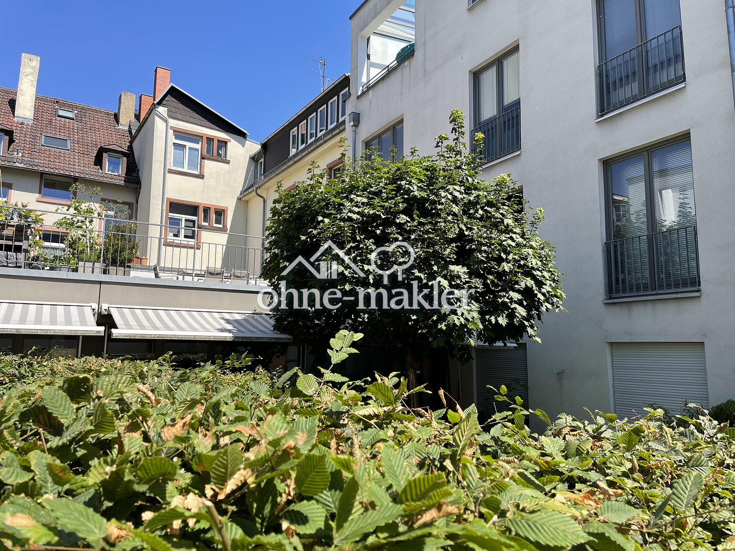 Bild 15