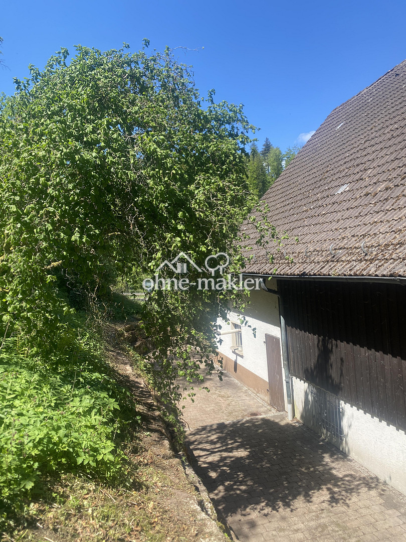image-65490947