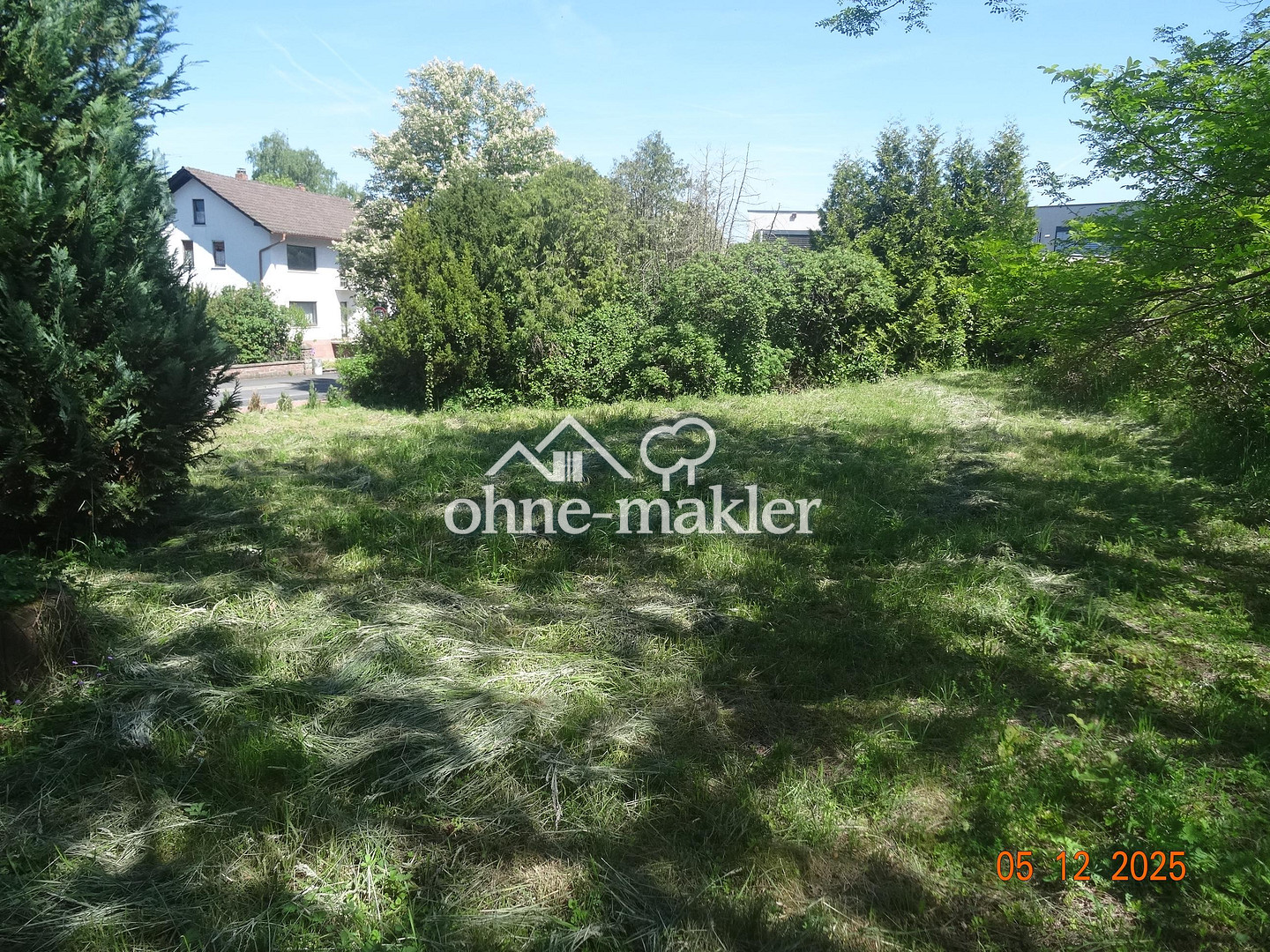 image-65527173