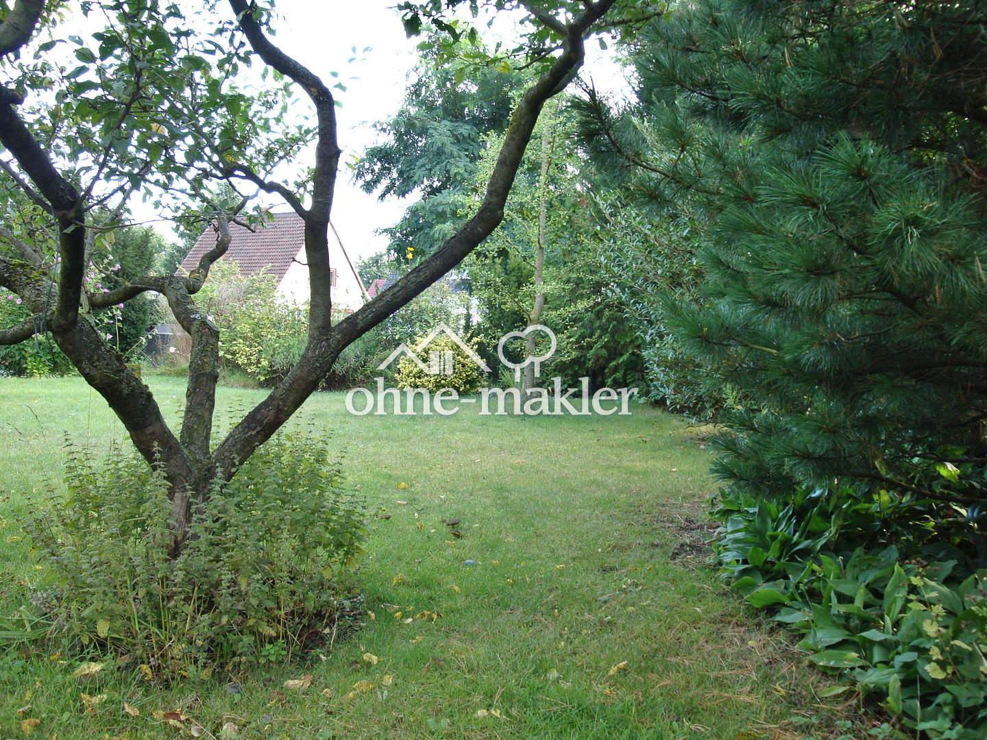 image-65761369