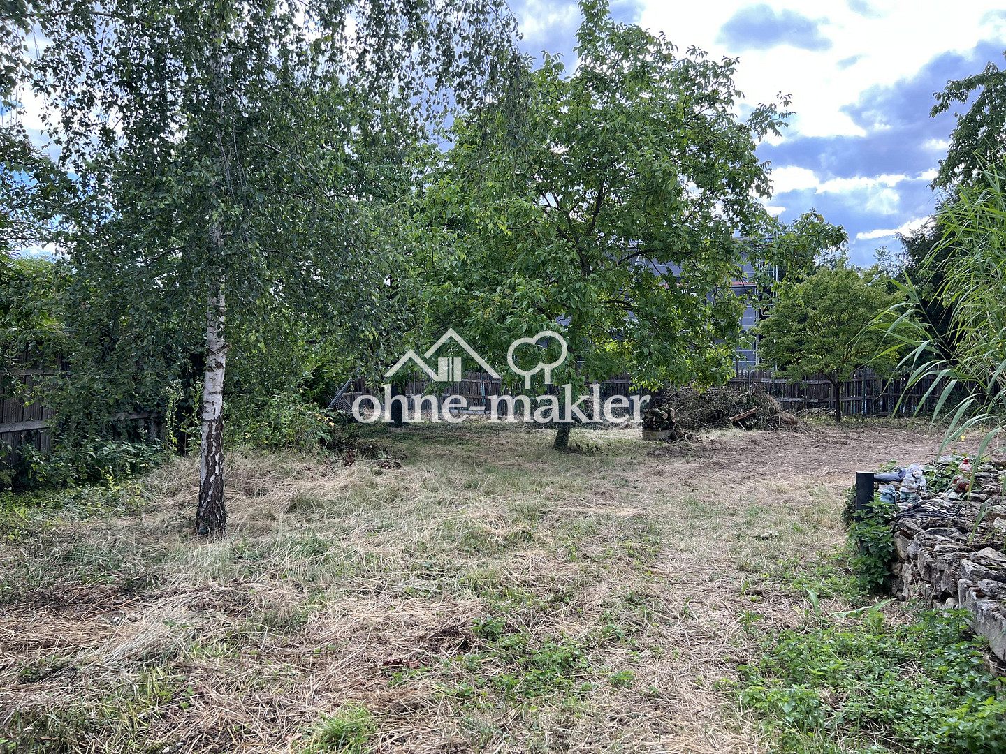 image-65835587