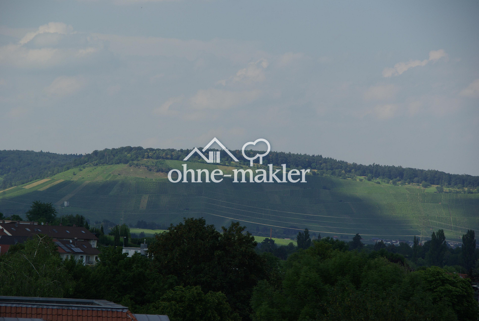 image-65943759