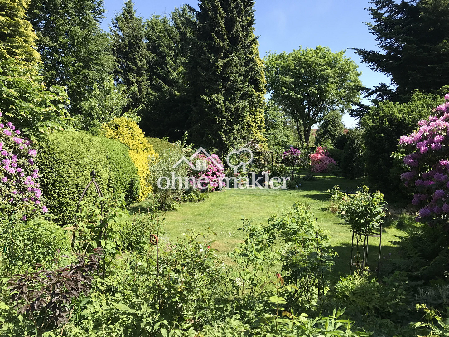 Bild 15