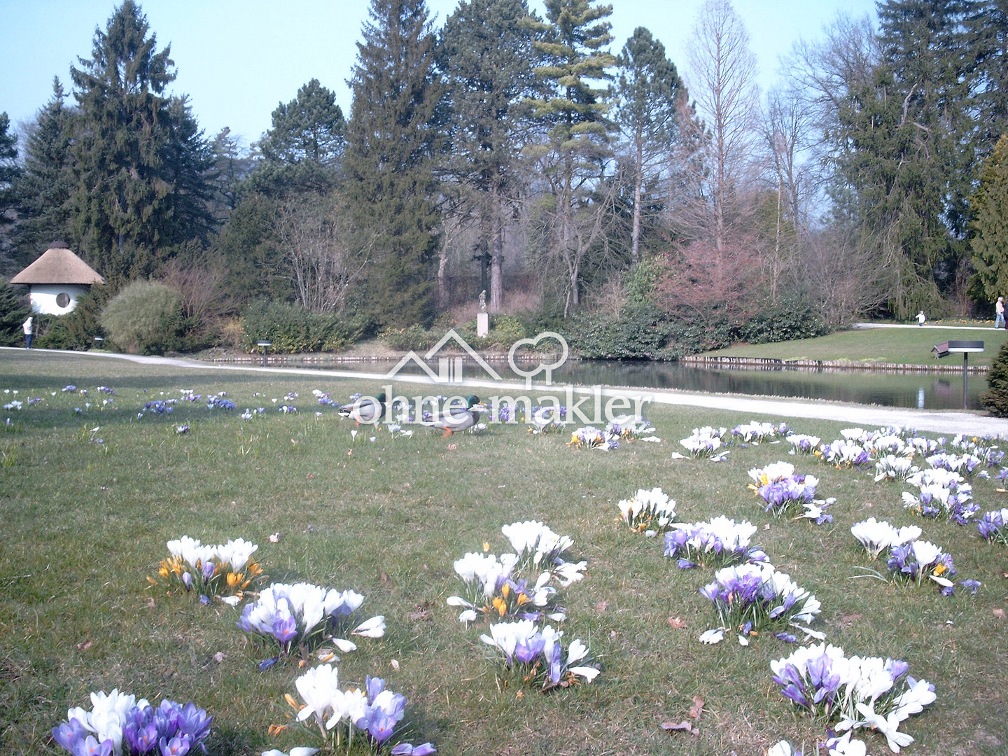 Bild 22