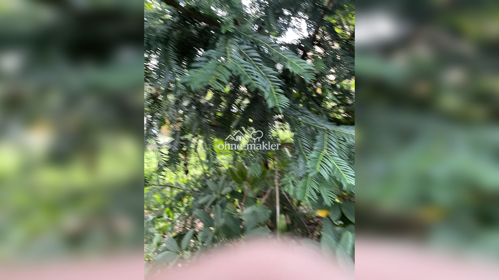 image-66038065
