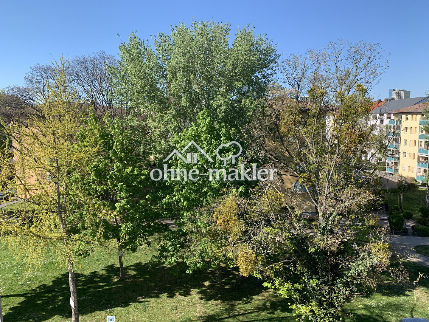 image-66089365