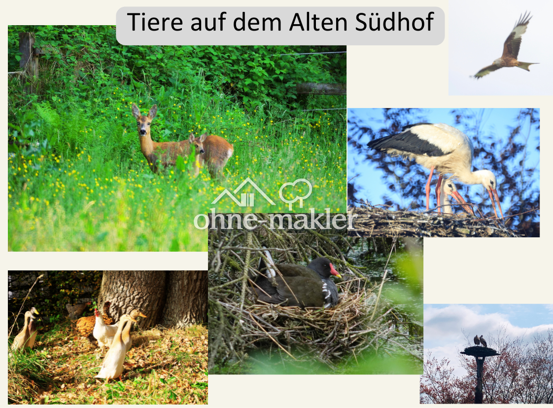 Bild 44