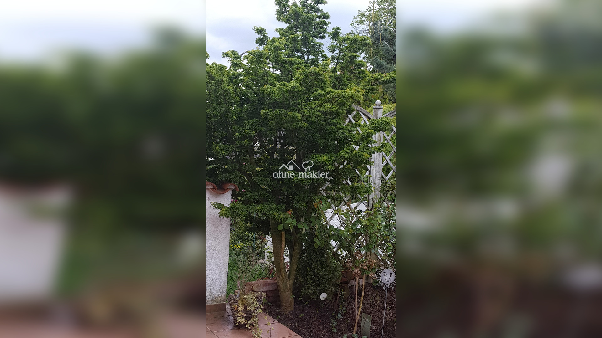Bild 14