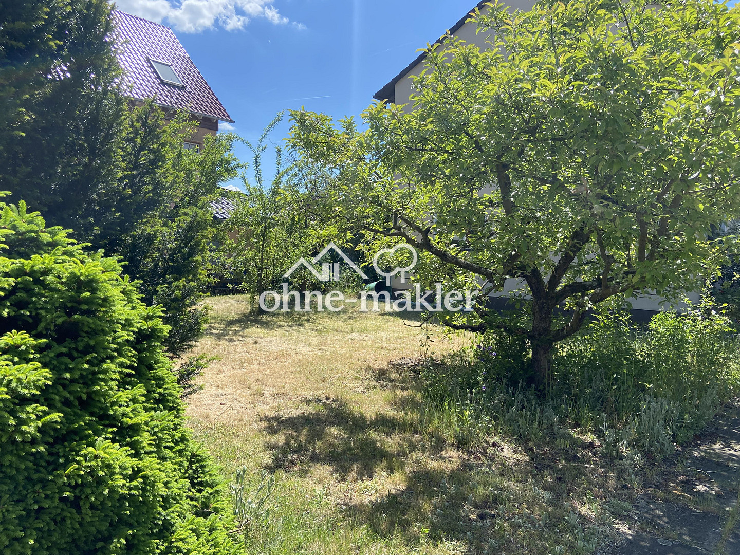 image-66186456
