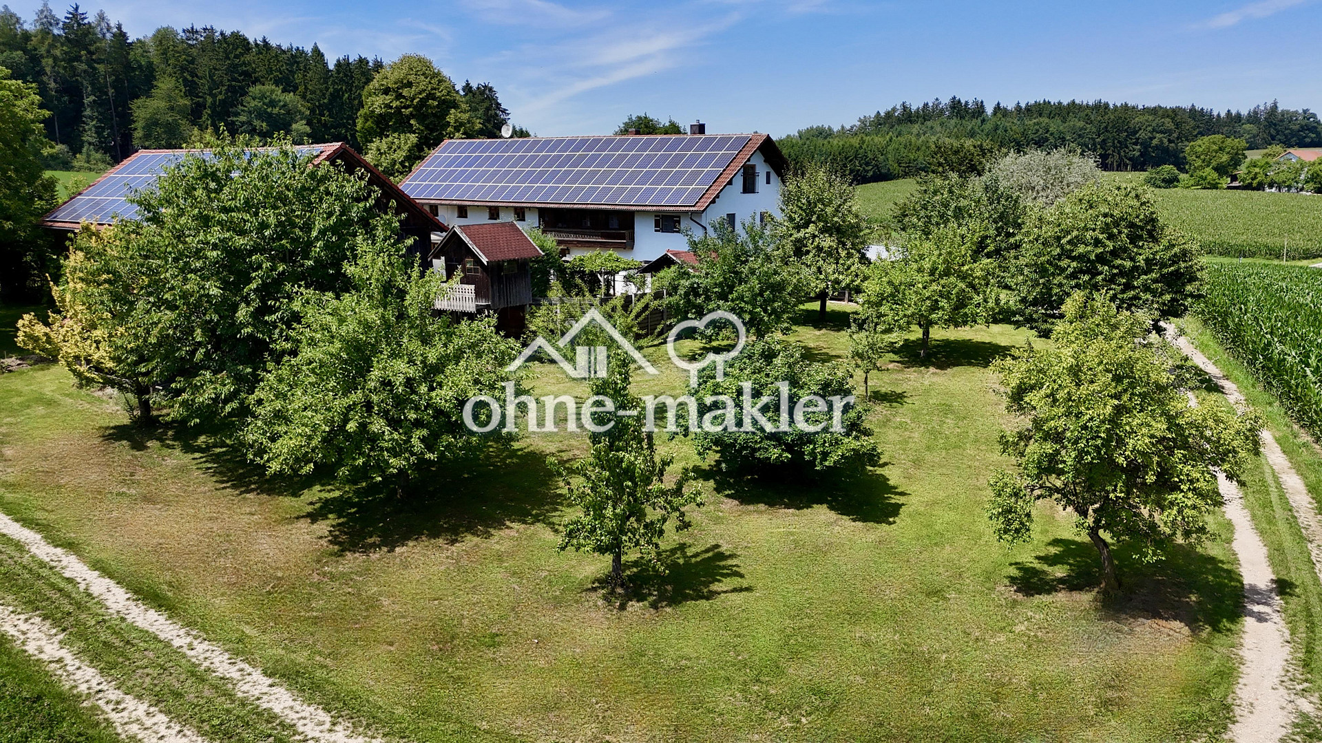 image-66198212
