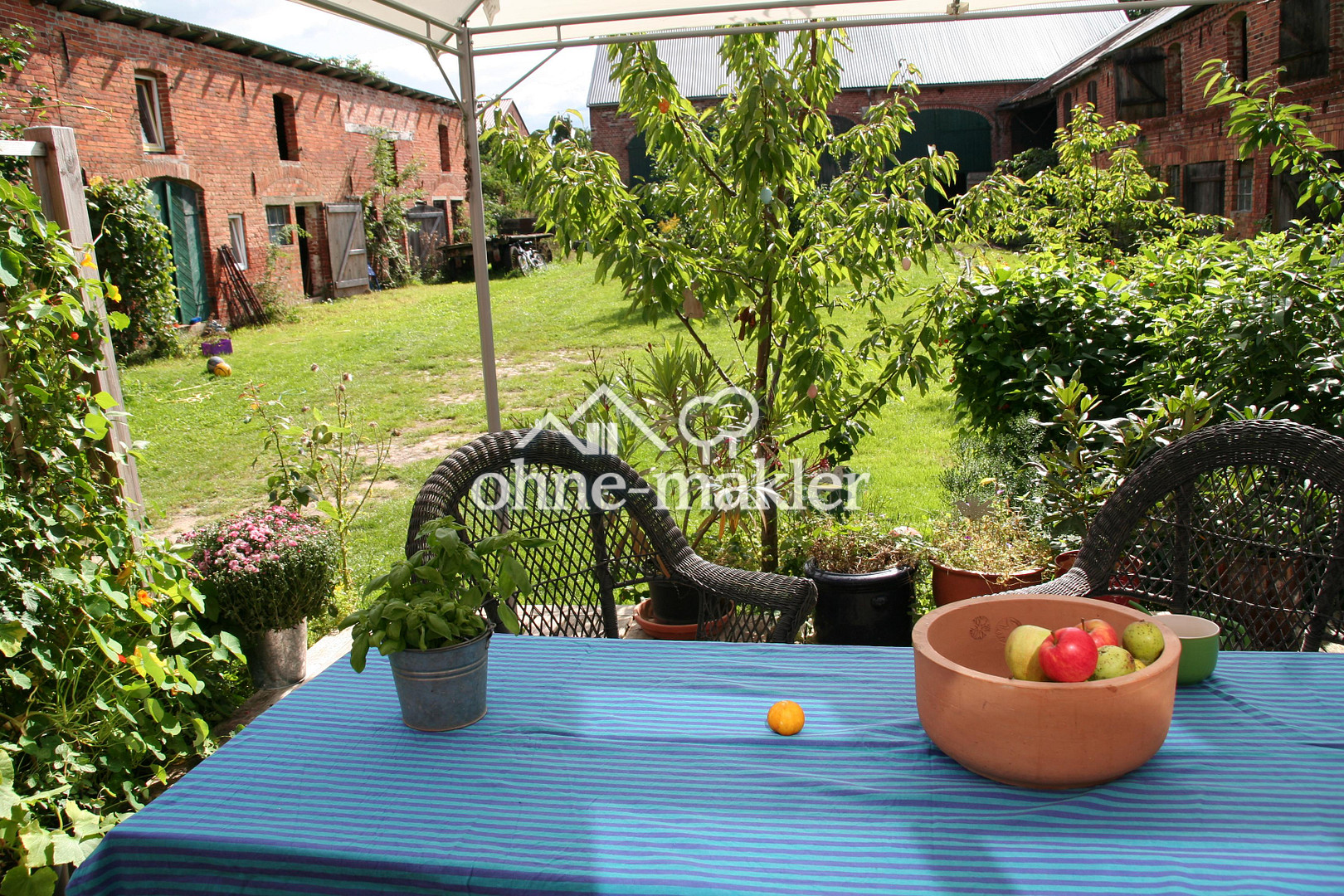 Bild 7