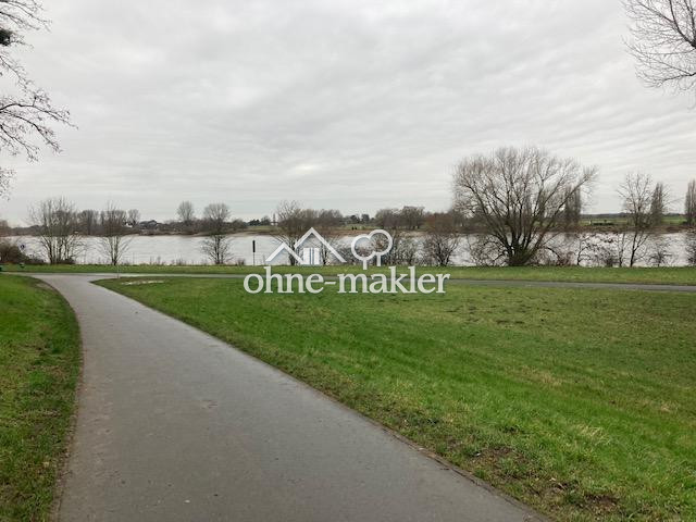 Bild 67
