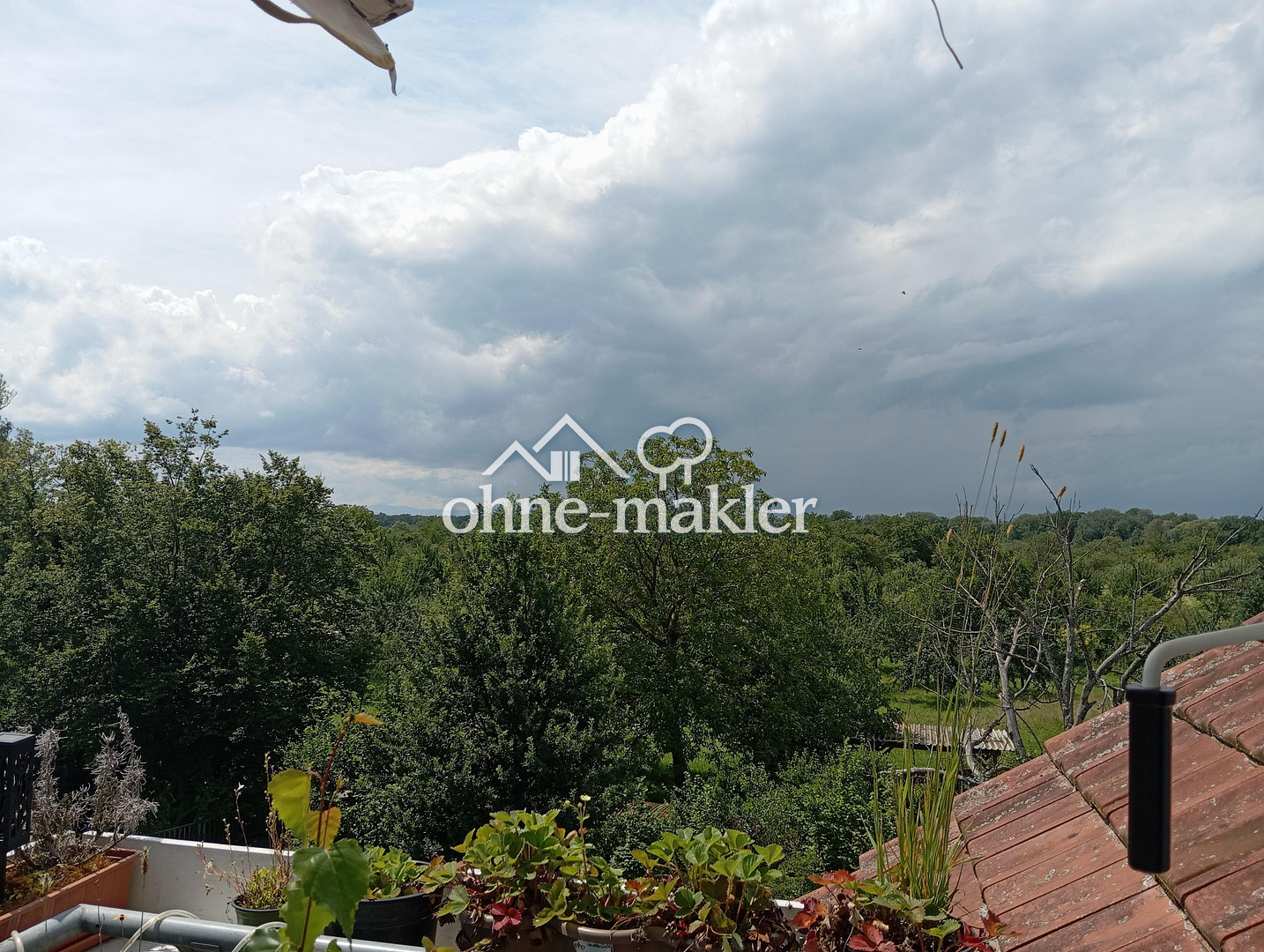 image-66319691
