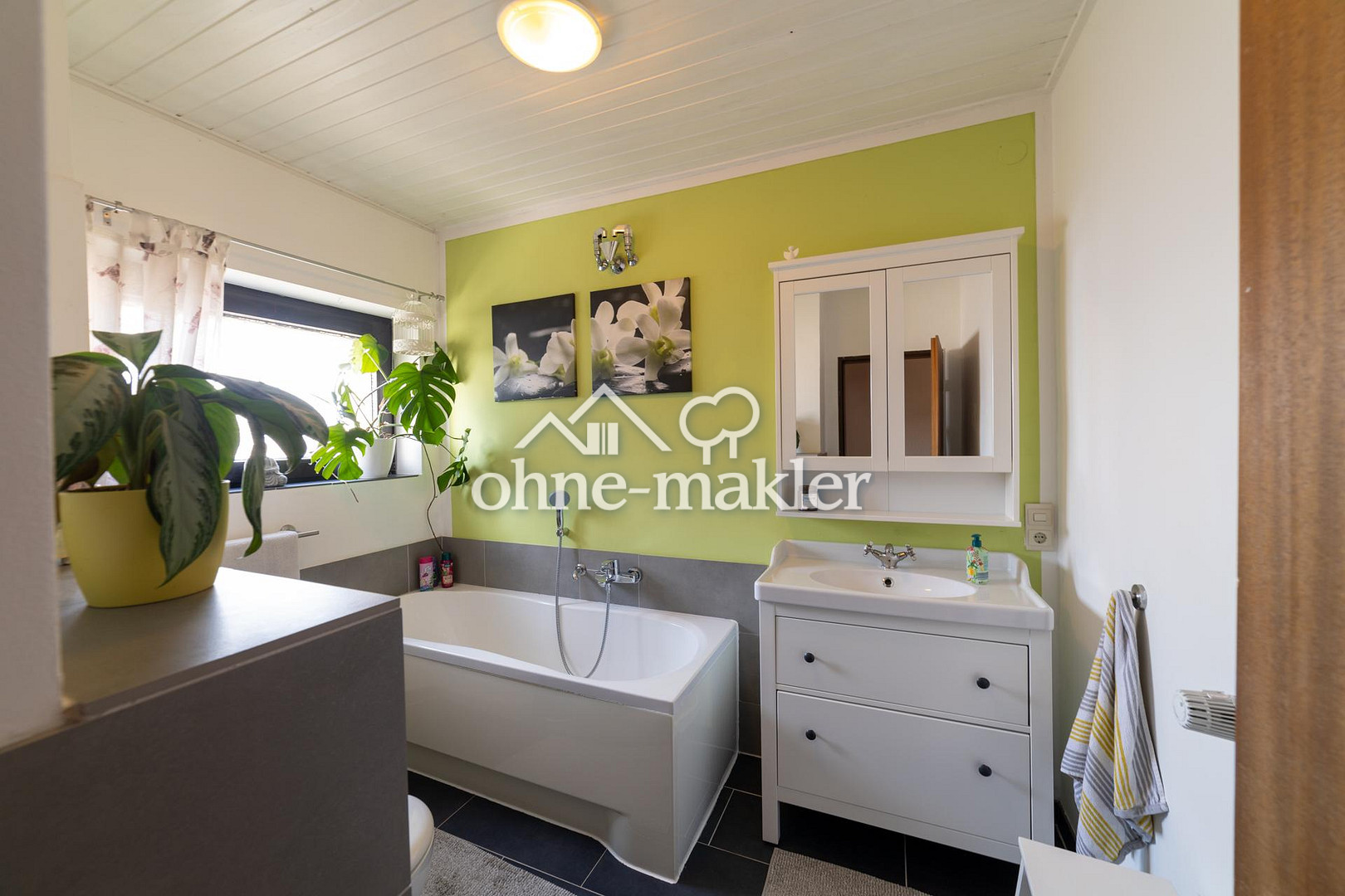 Bild 15