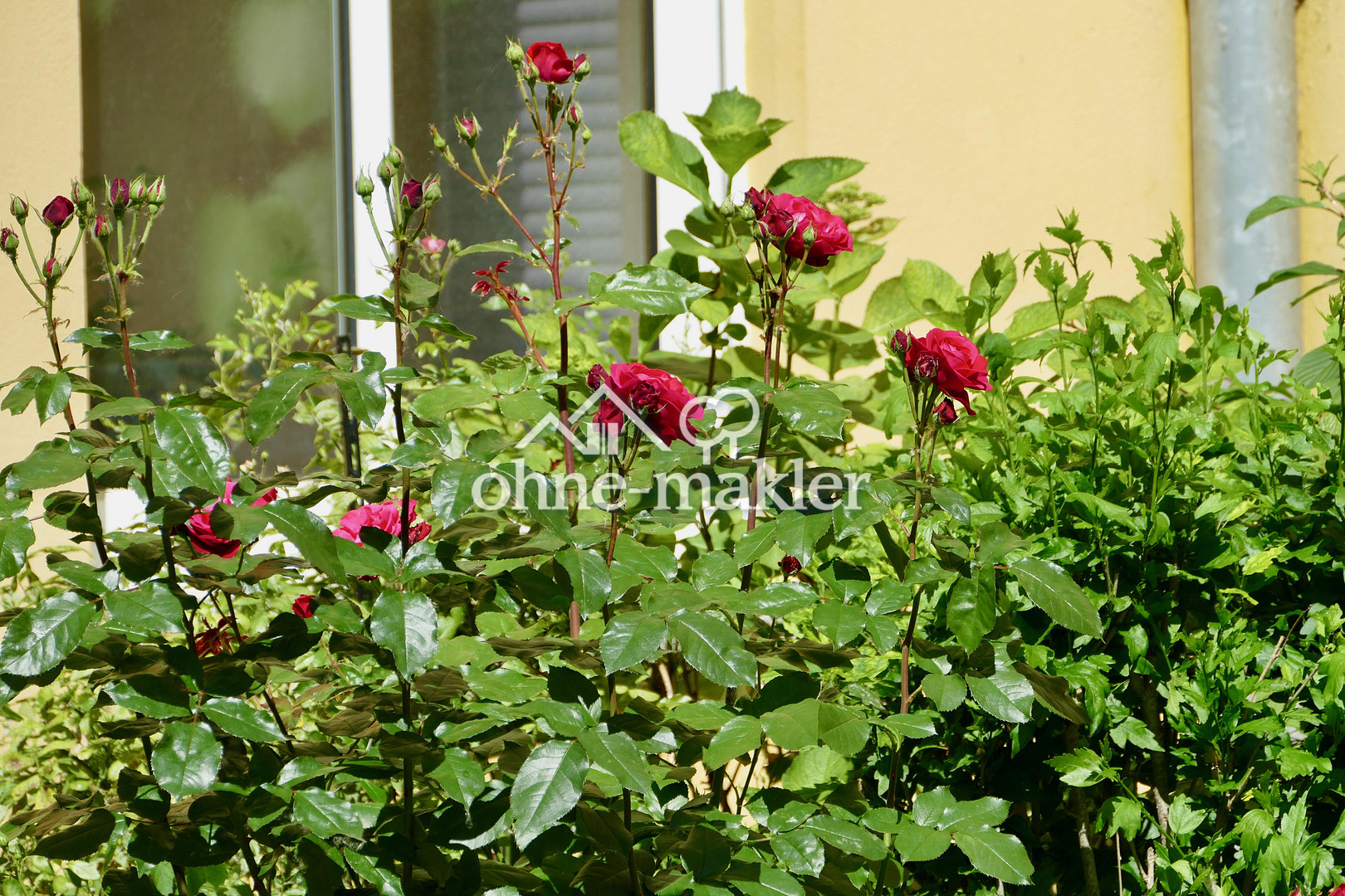 Bild 12