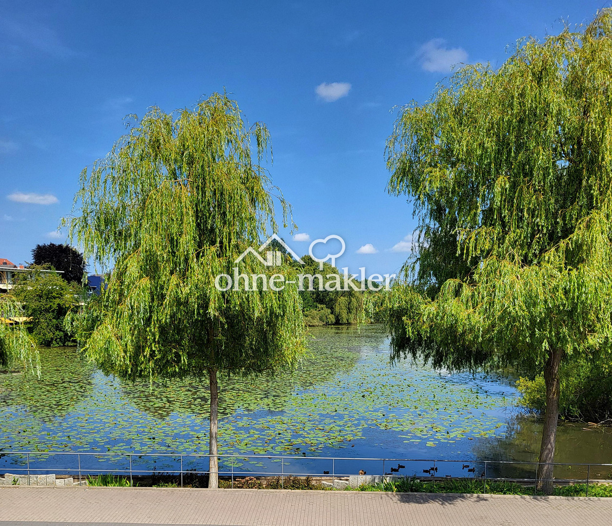 image-64842681