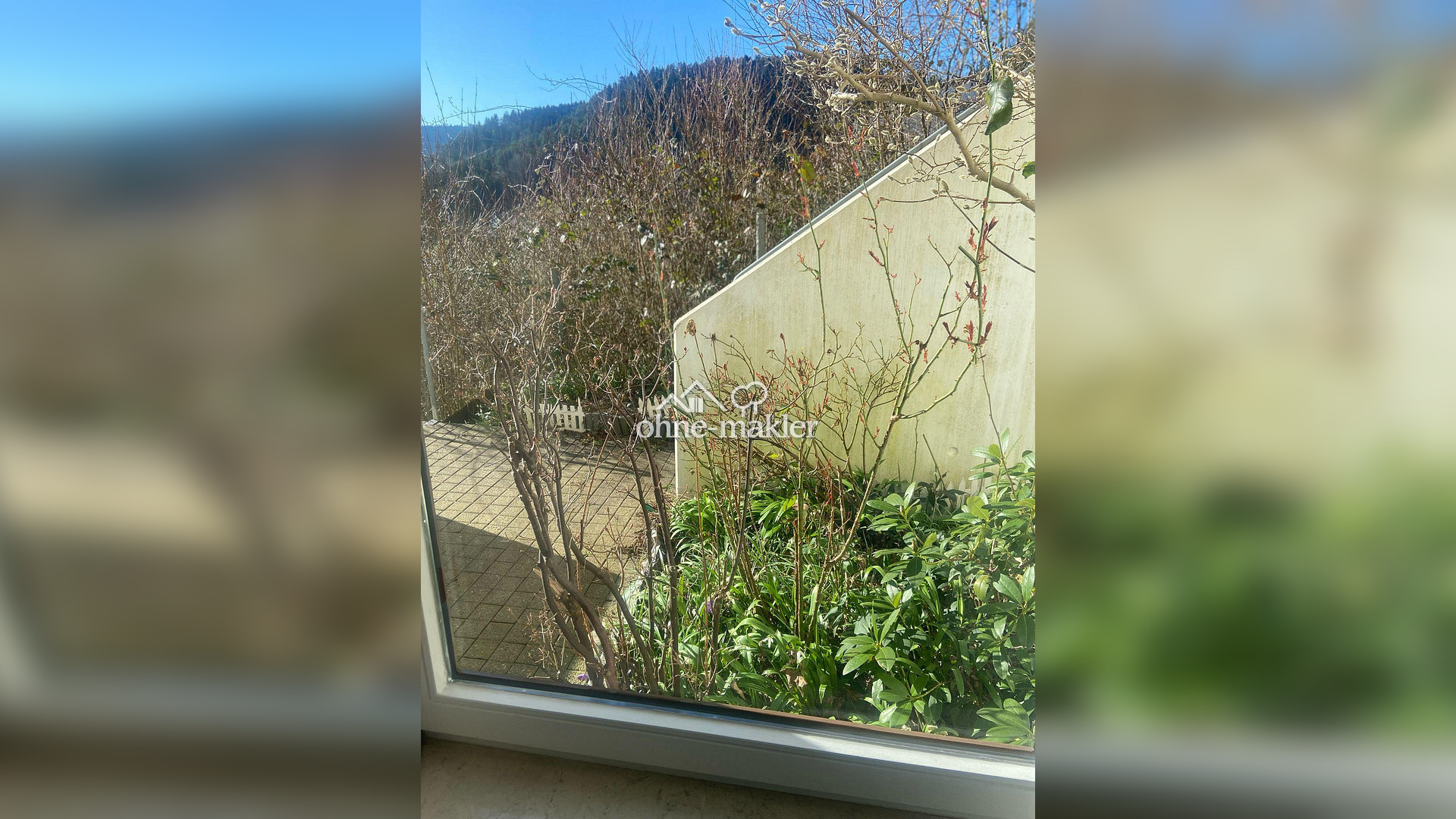 Bild 19