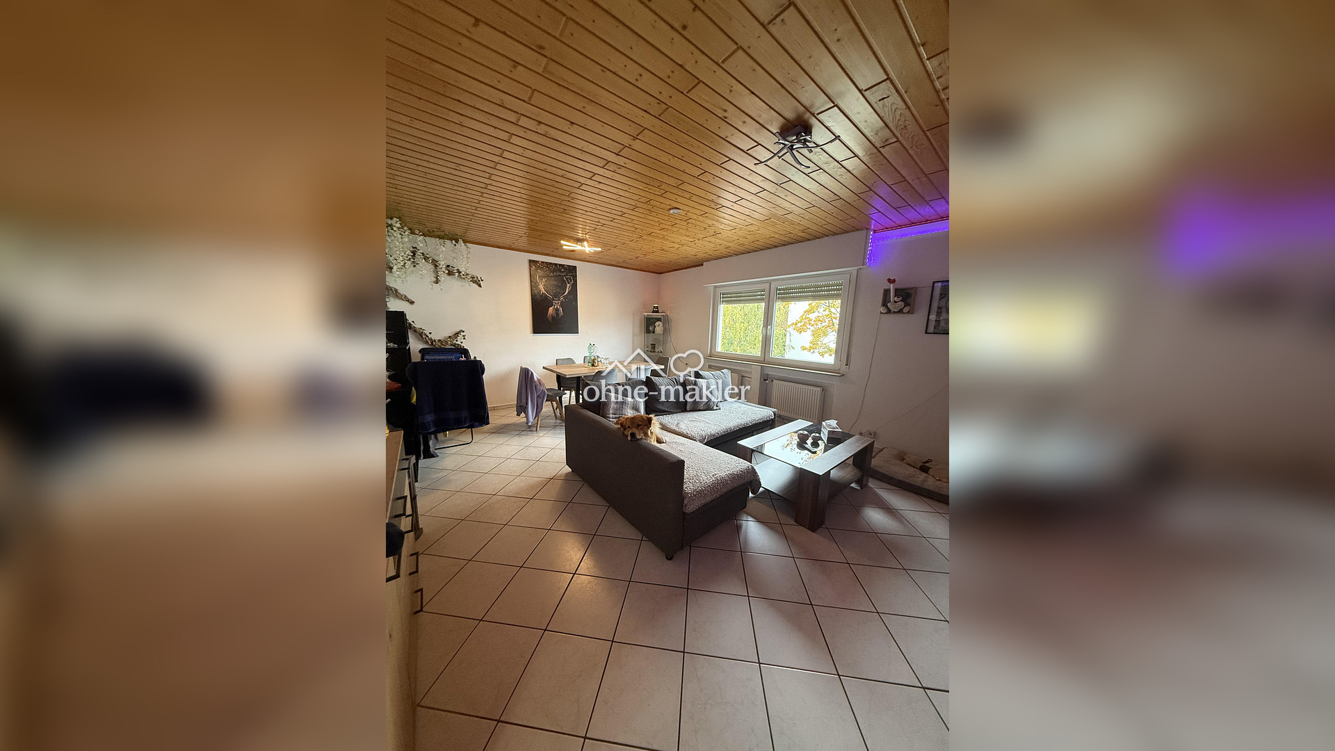 Bild 18