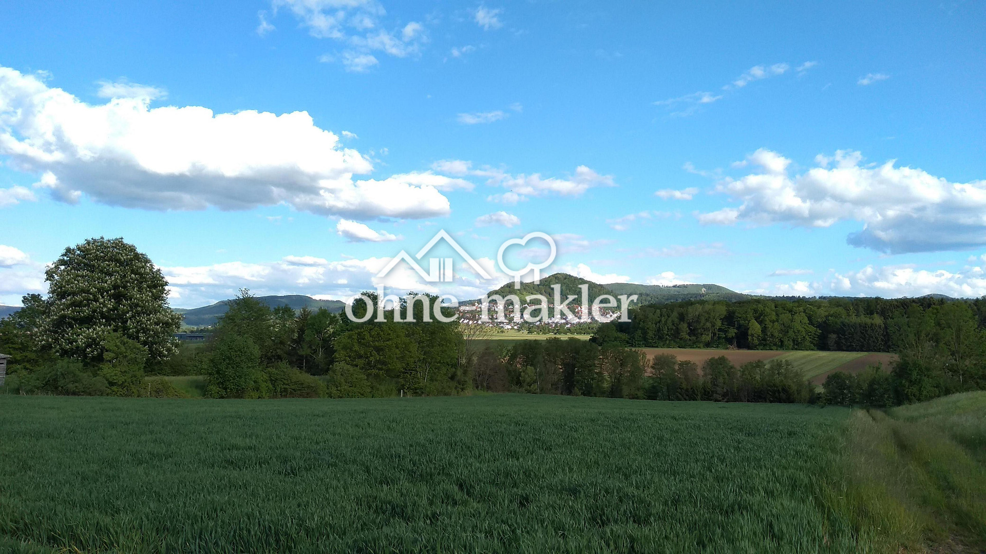 Bild 24