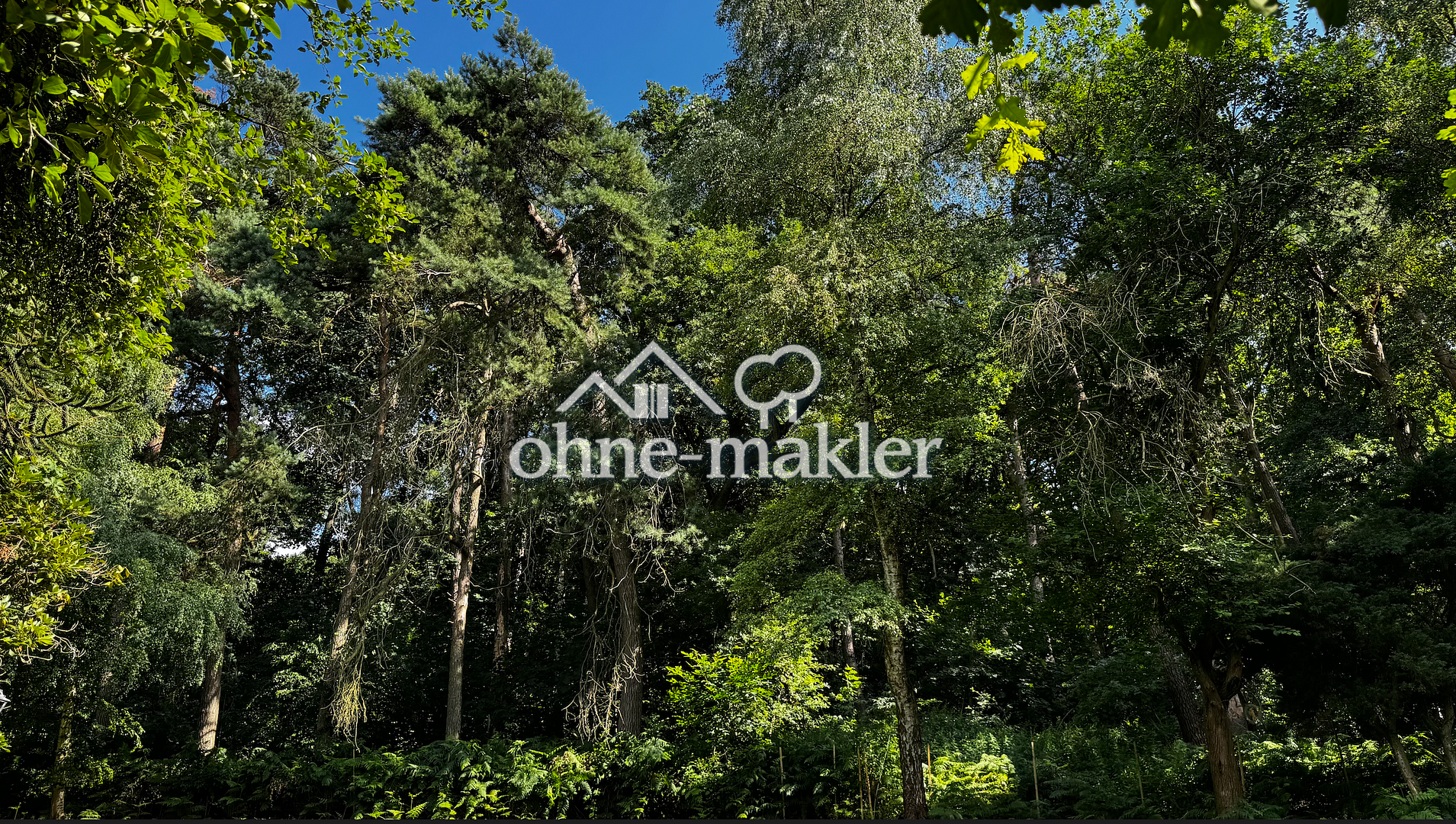 image-66718716
