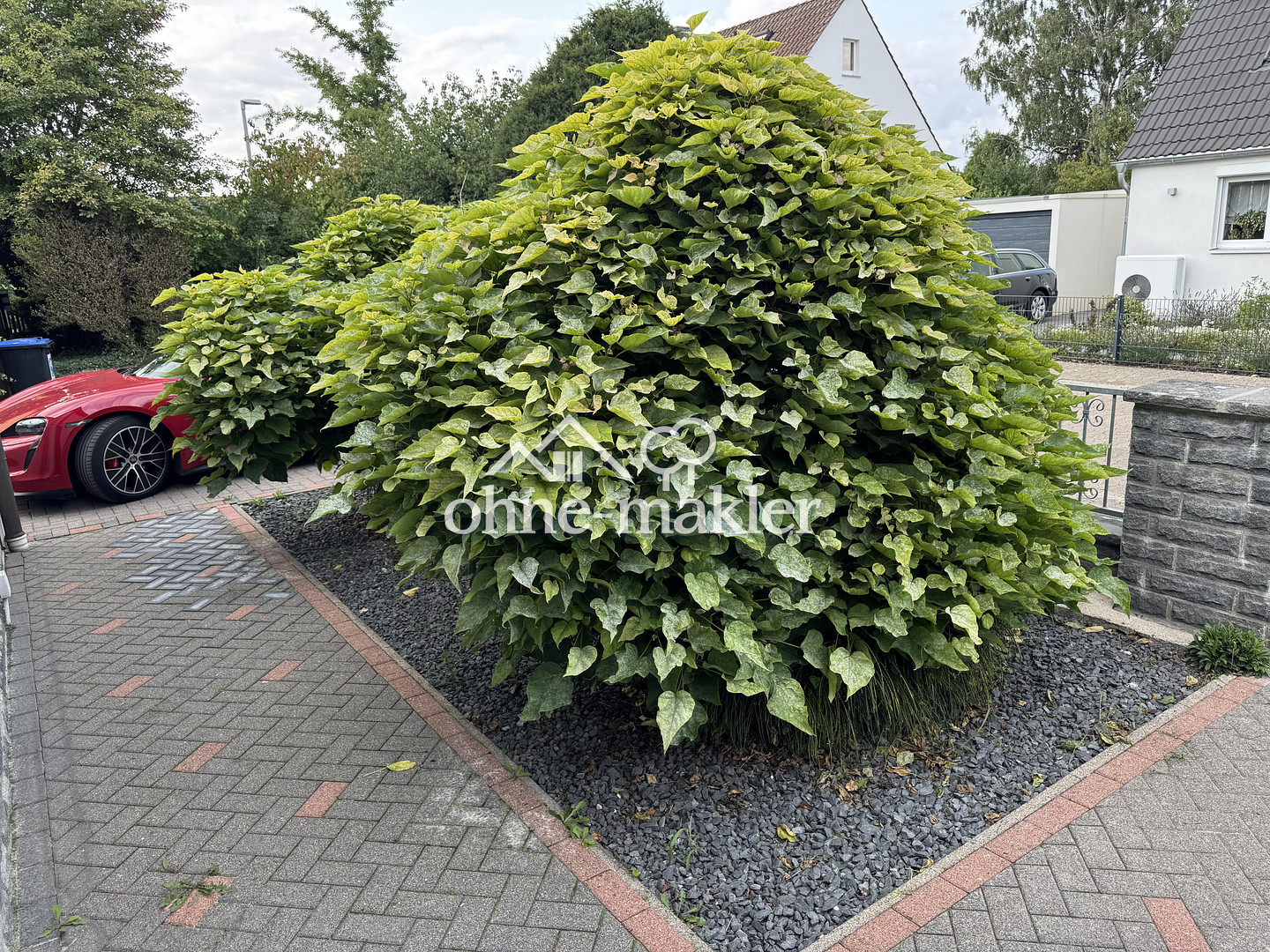Bild 19