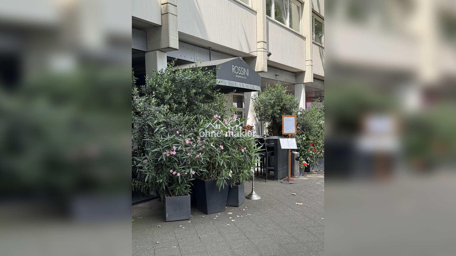 Bild 18